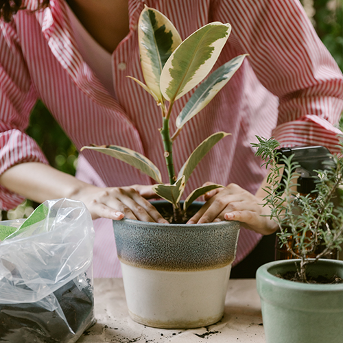 Gardening