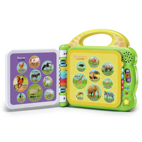 Language Development Toys
