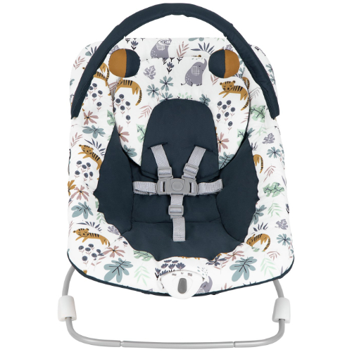 Baby Bouncers and Swings