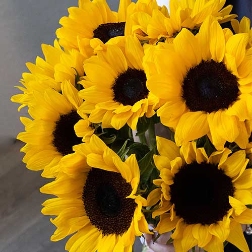 Summer Bouquets