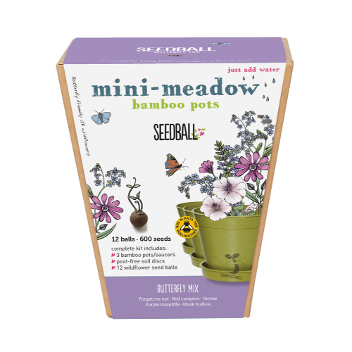 Seedball Butterfly Mini Meadow Bamboo Pot