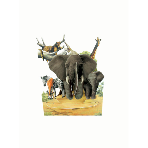 Safari - 3D Swing Card