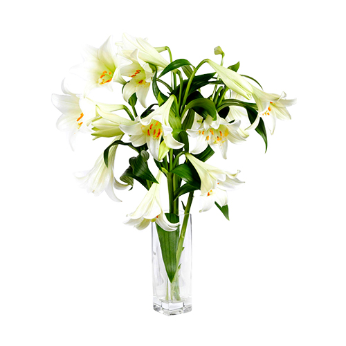 Simply Lilies Flower Bouquet