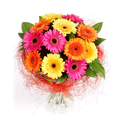 Rainbow of Mini Gerberas Flower Bouquet