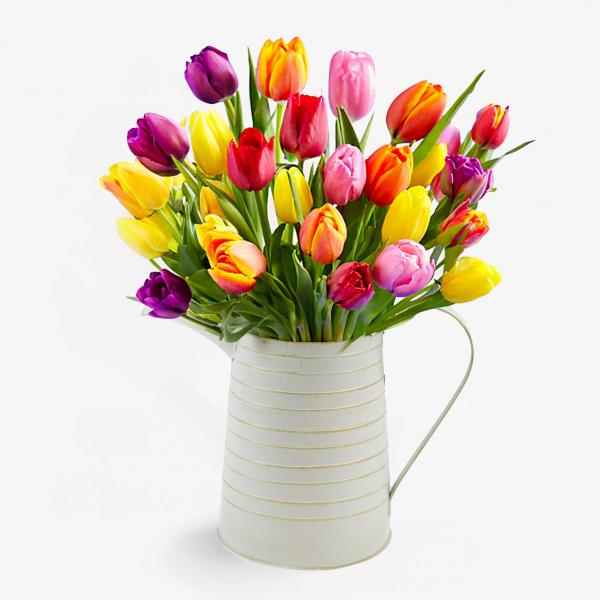 Mixed Tulips