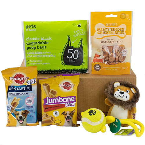 The Woof Woof Small Dog Gift Box