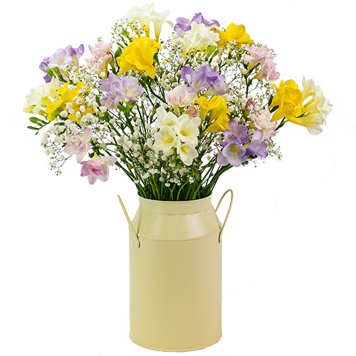 Sweet Freesia Bouquet