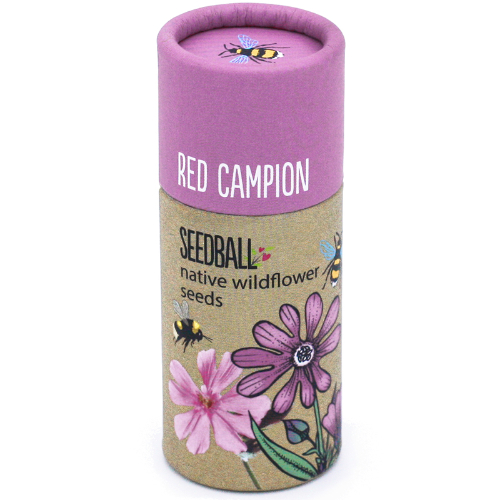 Seedball Red Campion Seed Tube