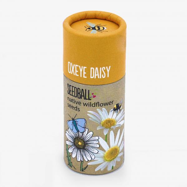 Seedball Oxeye Daisy Seed Tube