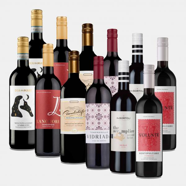 Bronze Red 12 Bottle Wine Case