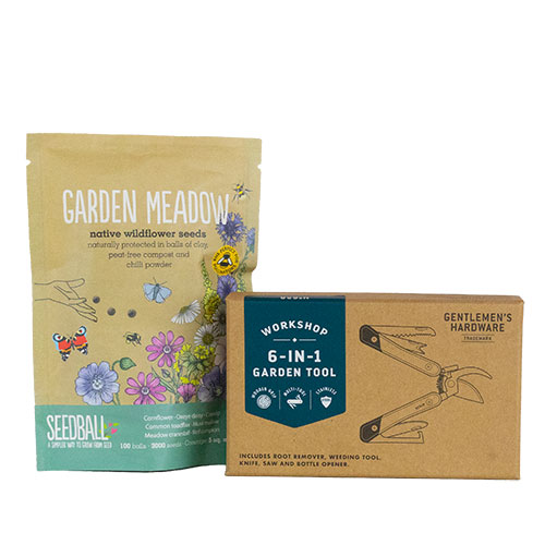 Garden Meadow Seed Set