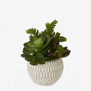 Faux Mixed Succulents in Ceramic Pot
