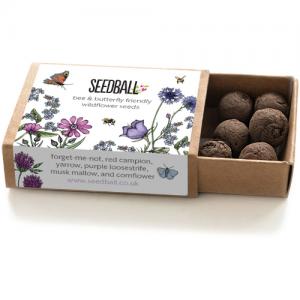 Seedball Bee and Butterfly Match Box