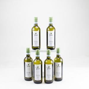 Volunte Pinot Grigio 6 Bottle Wine Case