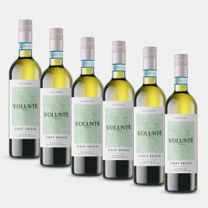 Volunte Pinot Grigio 6 Bottle Wine Case