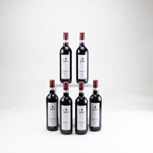 Volunte Montepulciano 6 Bottle Wine Case