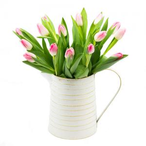 Perfect Pink Tulips