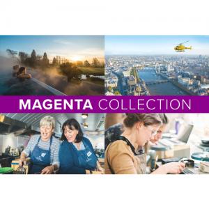 The Magenta Collection