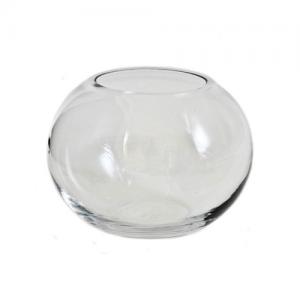 Oasis - Glass Fishbowl Vase
