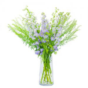 Abundance of Delphiniums Bouquet