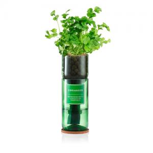 Hydro Herb Coriander Kit