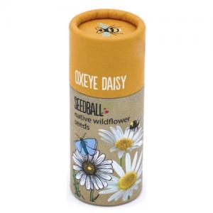 Seedball Oxeye Daisy Seed Tube