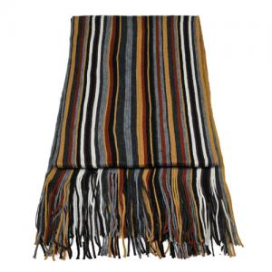 Autumn Stripe Scarf