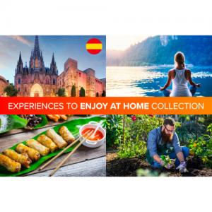 Experiences to Enjoy At Home Collection