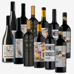 Gold Red 12 Bottle Wine Case