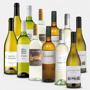 Silver White 12 Bottle Wine Case