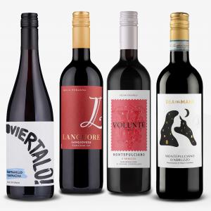 Red Wine 4 Bottle Gift Pack