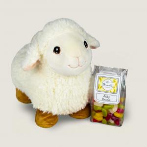 The Sweet Sheep Duo
